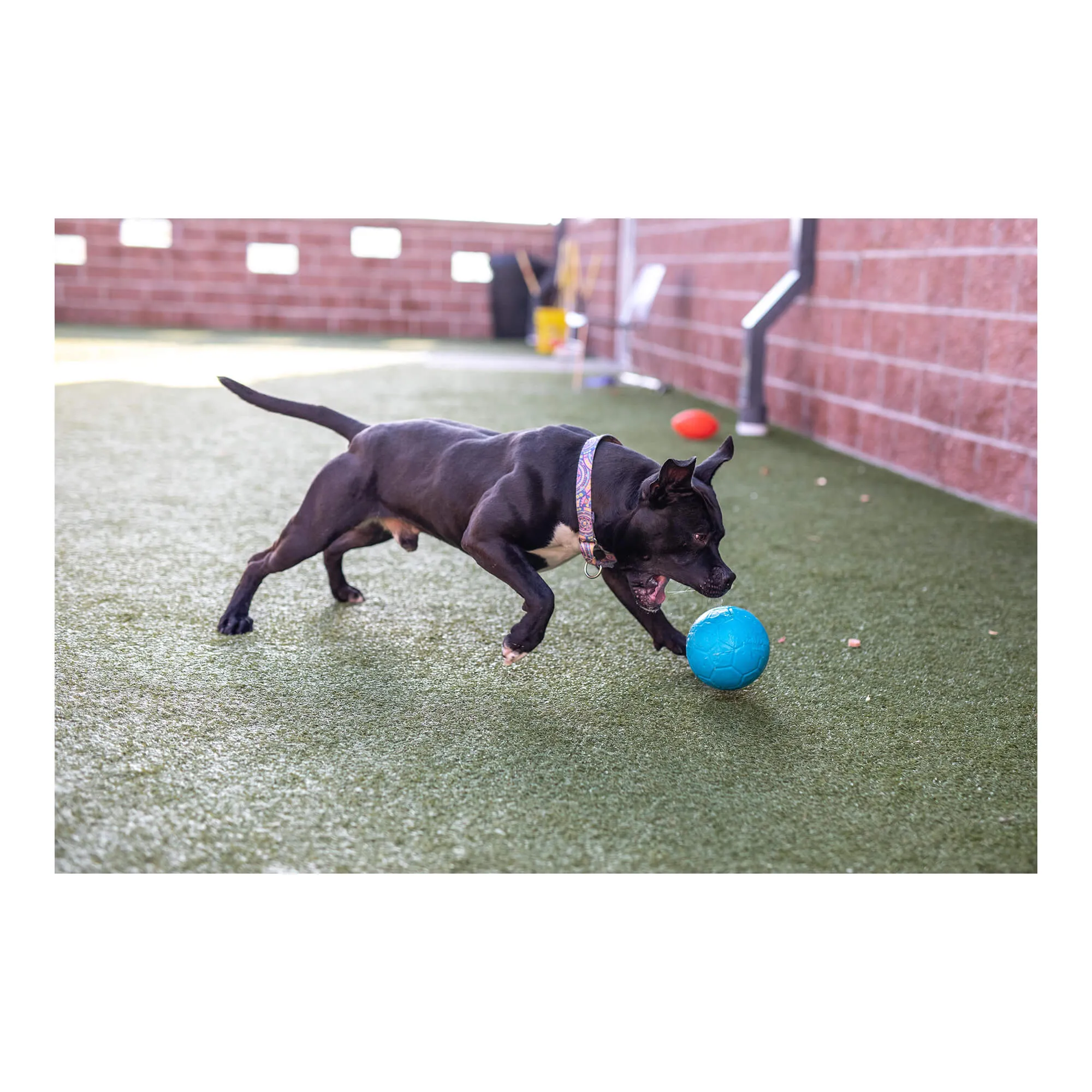 6" Jolly Soccer Ball