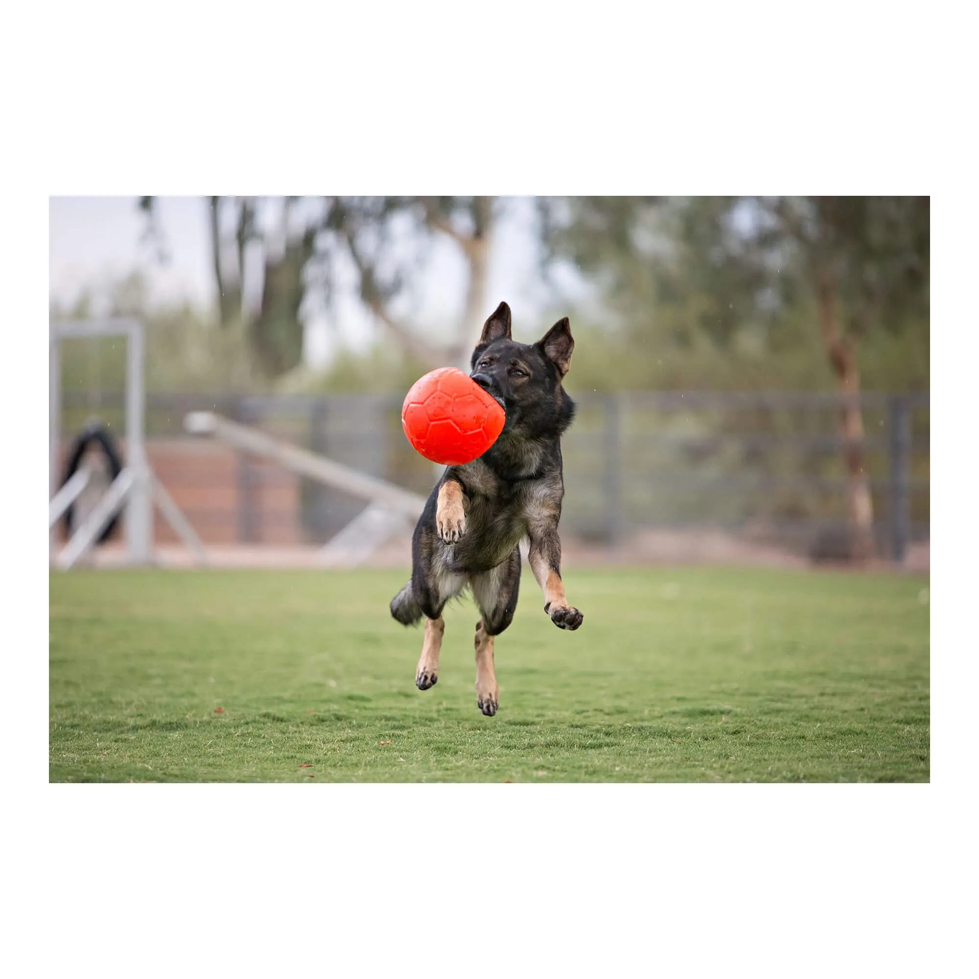 6" Jolly Soccer Ball