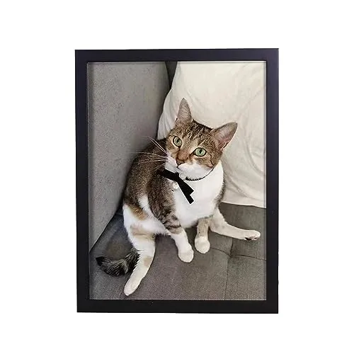 Art Street Synthetic Document Large Size Wall Photo Frame, Big Frames For Wall Artwork, Certificates, Picture & Photographs Home Decor(12x16 Inch, Matted To: 8x10 Inch, Black)