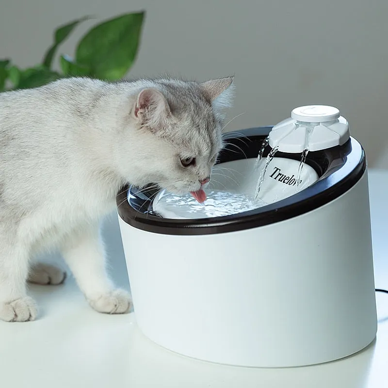 Automatic Water Fountain