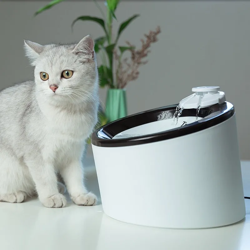 Automatic Water Fountain