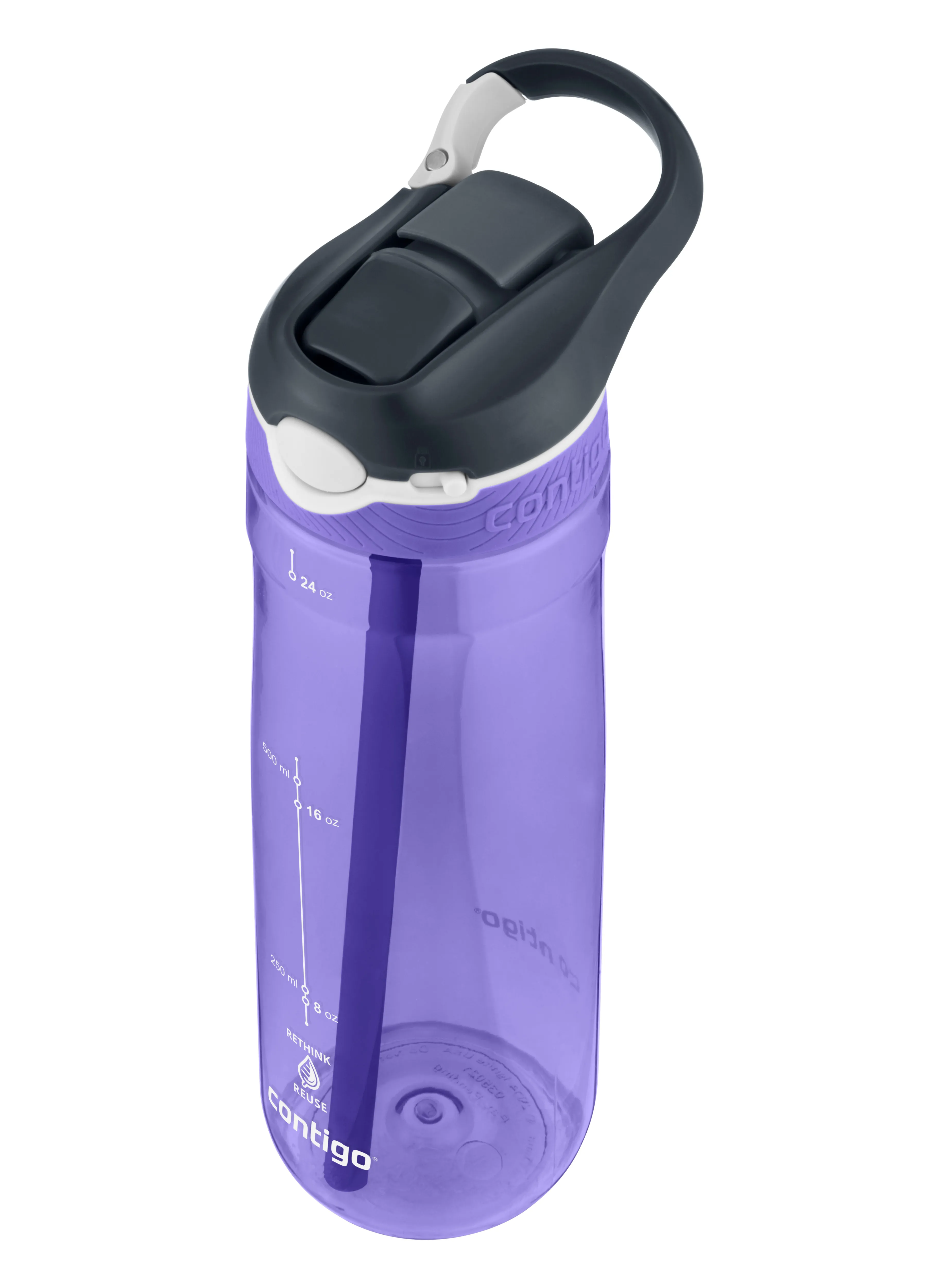 Contigo Ashland Water Bottle Grapevine | Buy Contigo Ashland Water Bottle Grapevine here | Outnorth