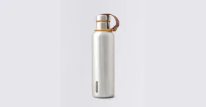 Thermo Bottle Black Blum Steel Instulated Water Bottle Large