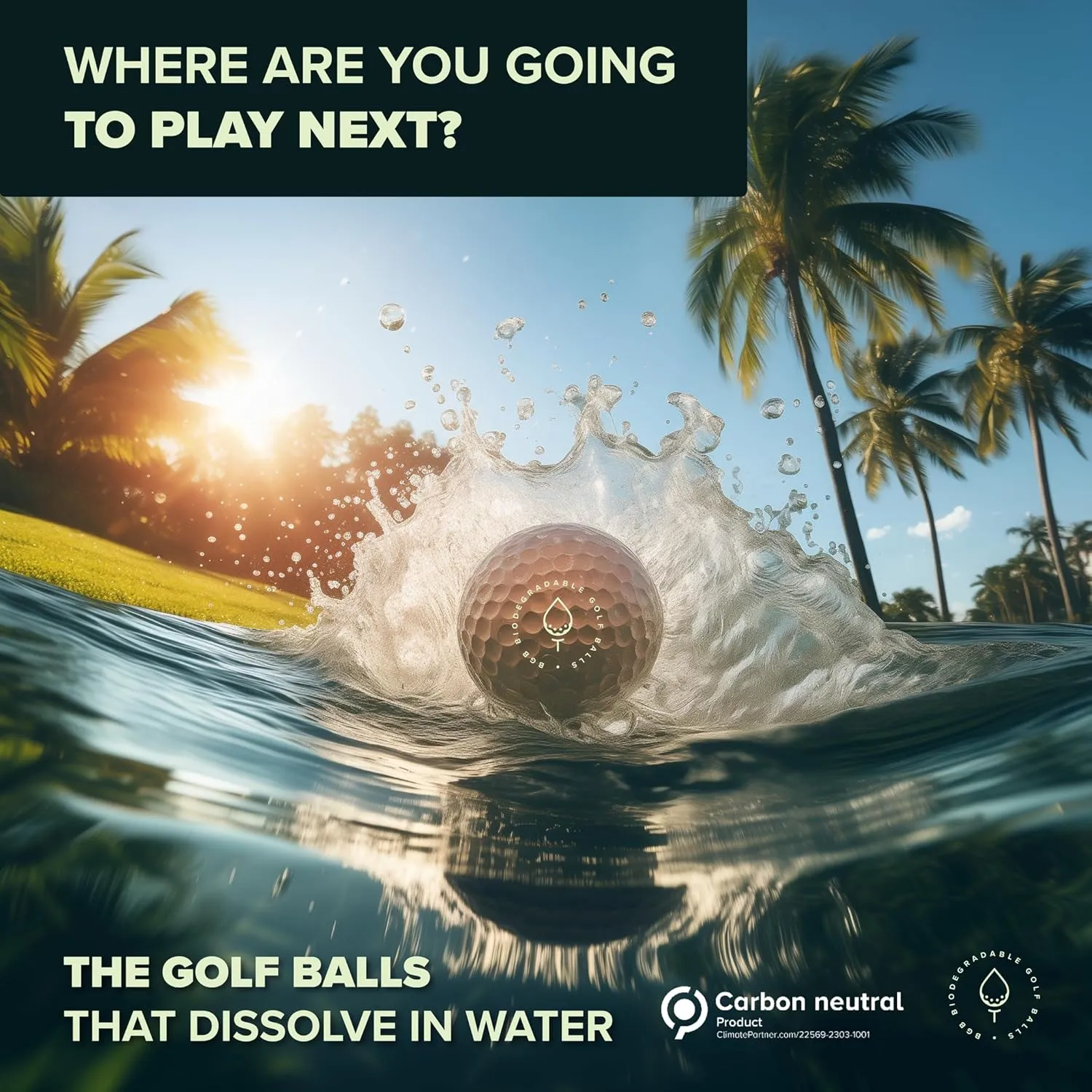 Water Dissolvable Golf Balls, Eco Friendly Water Soluble Dissolves in 2-4 Weeks